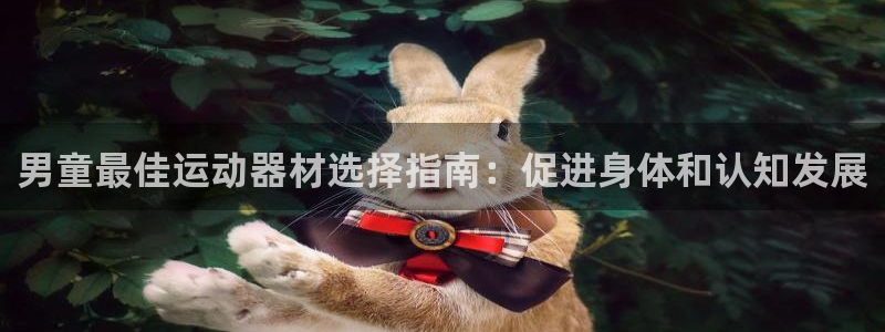 意昂3开户：男童最佳运动器材选择指南：促进身体和认知