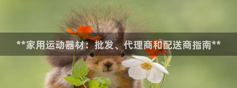 意昂3娱乐代理怎么样