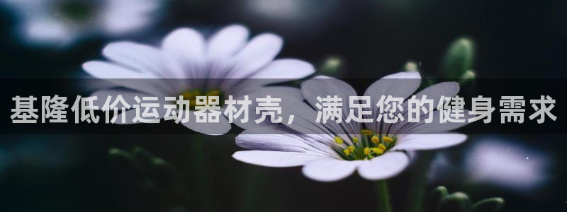 意昂体育3开户：基隆低价运动器材壳，满足您的健身需求