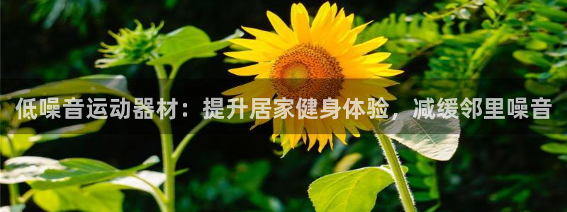 意昂体育3开户：低噪音运动器材：提升居家健身体验，减
