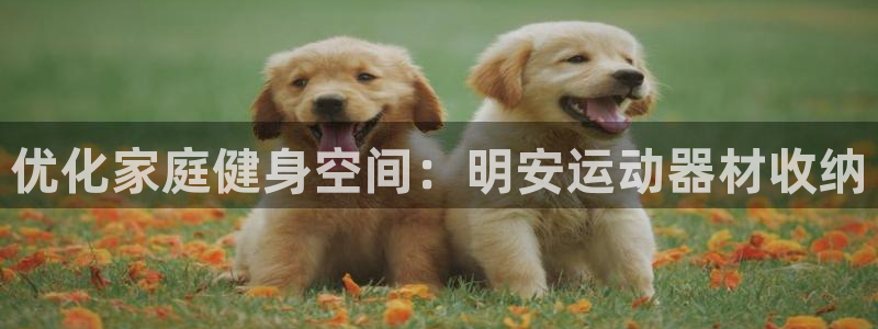 意昂3官网：优化家庭健身空间：明安运动器材收纳
