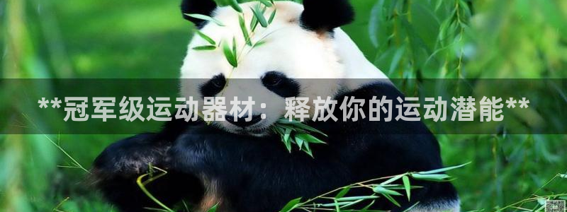 意昂体育3招商电话号码是多少啊：**冠军级运动器材：