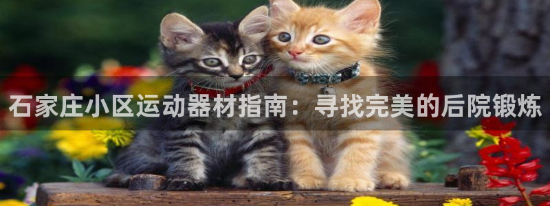意昂体育3招商电话是多少号码：石家庄小区运动器材指南
