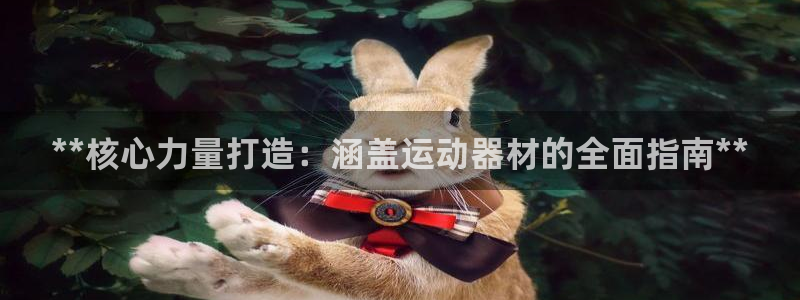 意昂3娱乐首页官网下载：**核心力量打造：涵盖运动器材的全面