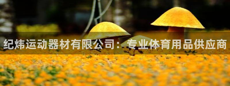 意昂体育3平台注册流程视频：纪炜运动器材有限公司：专