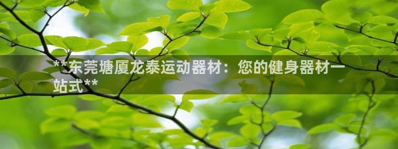 意昂3五金厂：**东莞塘厦龙泰运动器材：您的健身器材