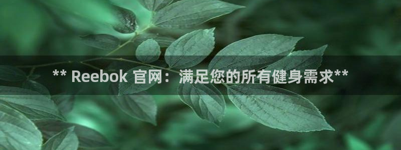 意昂3娱乐是那个系列的台子：** Reebok 官网