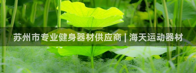 注册意昂3：苏州市专业健身器材供应商 | 海天运动器