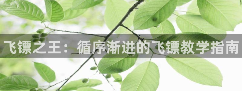 意昂体育3平台：飞镖之王：循序渐进的飞镖教学指南
