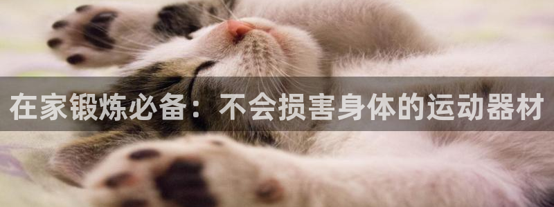 意昂集团官网：在家锻炼必备：不会损害身体的运动器材