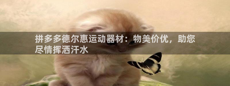 意昂3娱乐首页官网下载：拼多多德尔惠运动器材：物美价