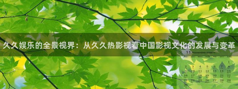 悟空视频影视大全免费下载：久久娱乐的全景视界：从久久热影视看中国影视文化的发展与变革