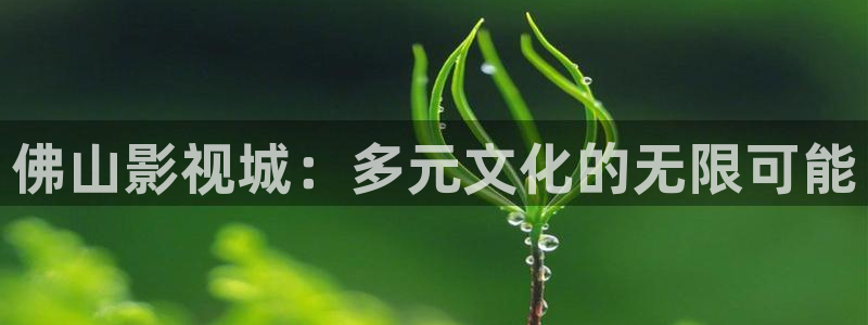 孙悟空配音视频大全：佛山影视城：多元文化的无限可能