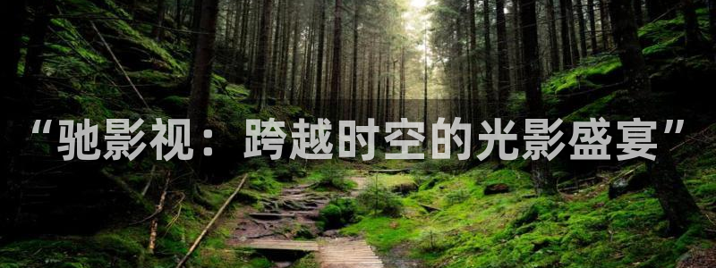 悟空影视在线观看视频：“驰影视：跨越时空的光影盛宴”