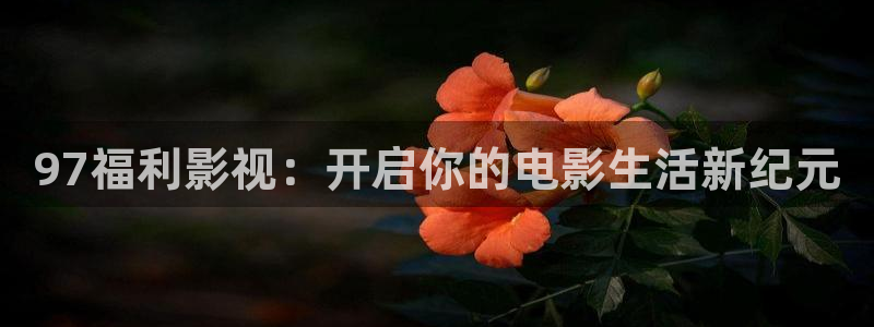 悟空视频影视大全