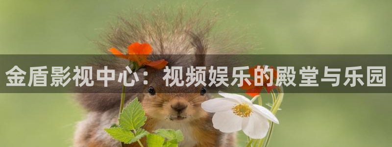 哪吒打孙悟空视频