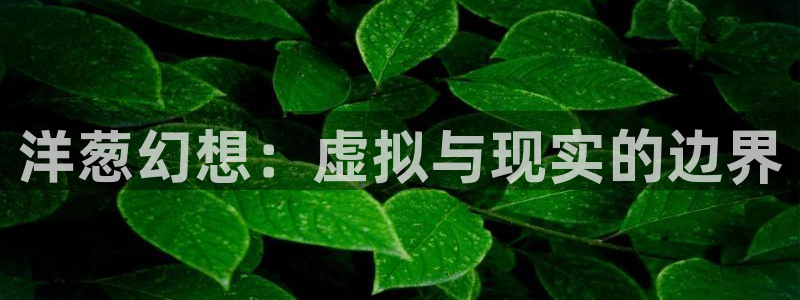 悟空视频在线播放