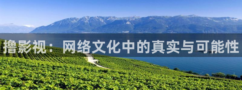 悟空影视免费观看视频 mp4