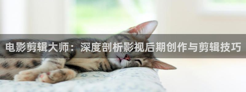 孙悟空视频美猴王视频